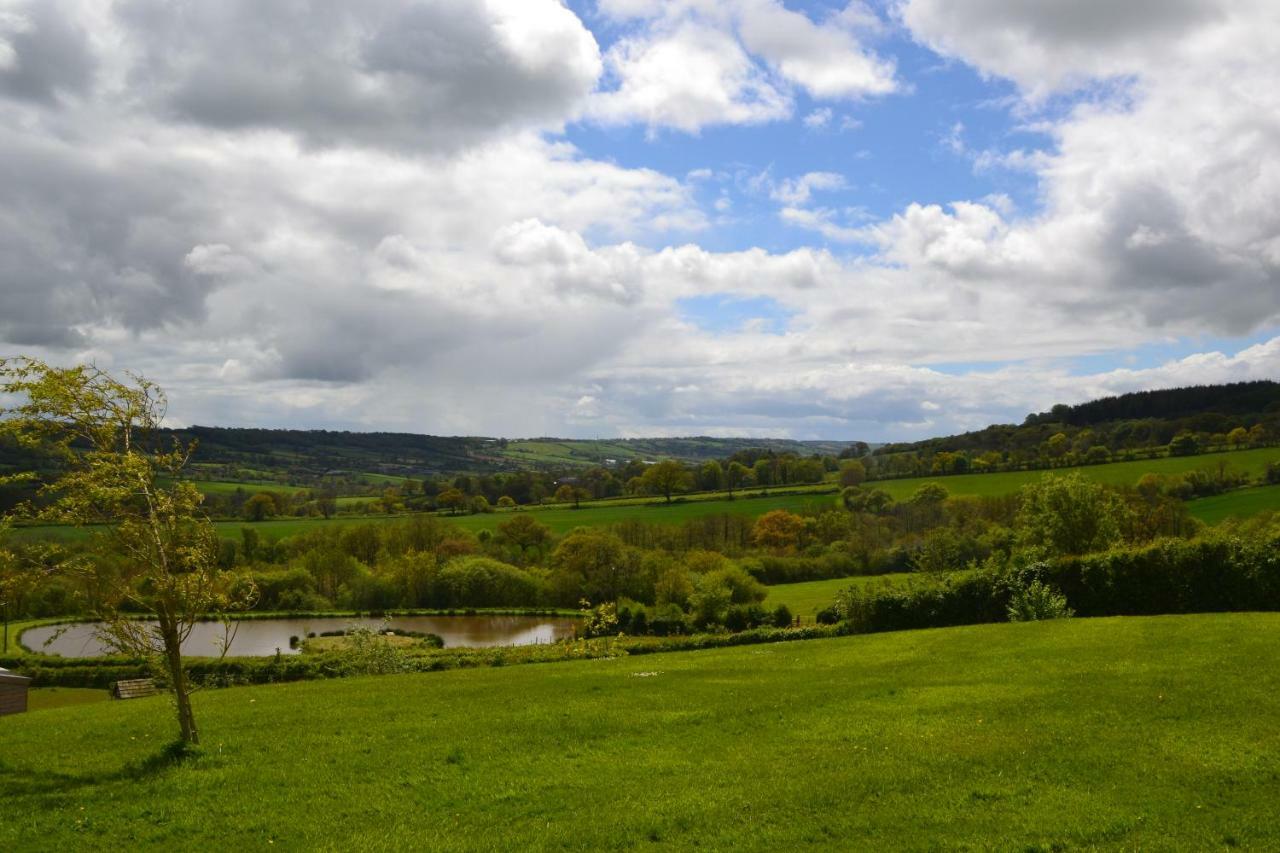Odle Farm Villa Honiton Bagian luar foto