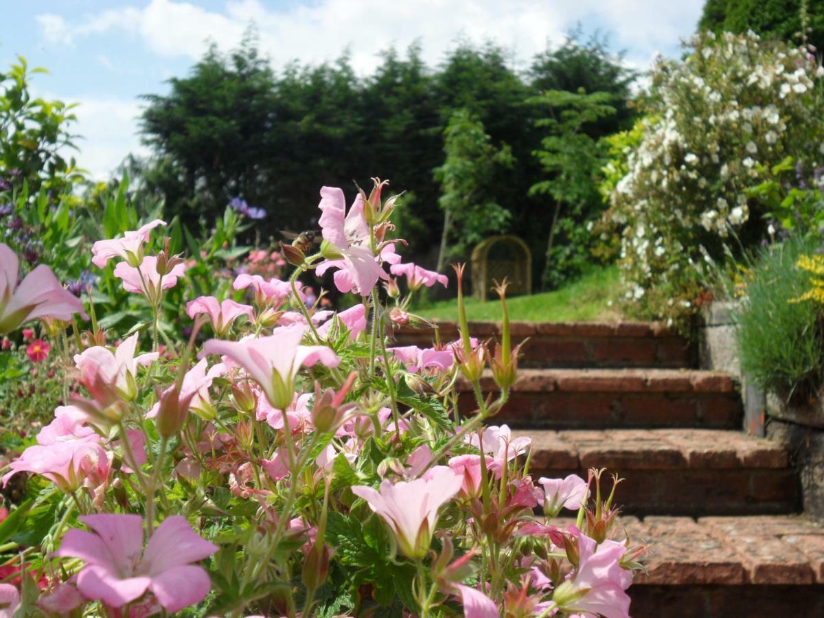 Odle Farm Villa Honiton Bagian luar foto