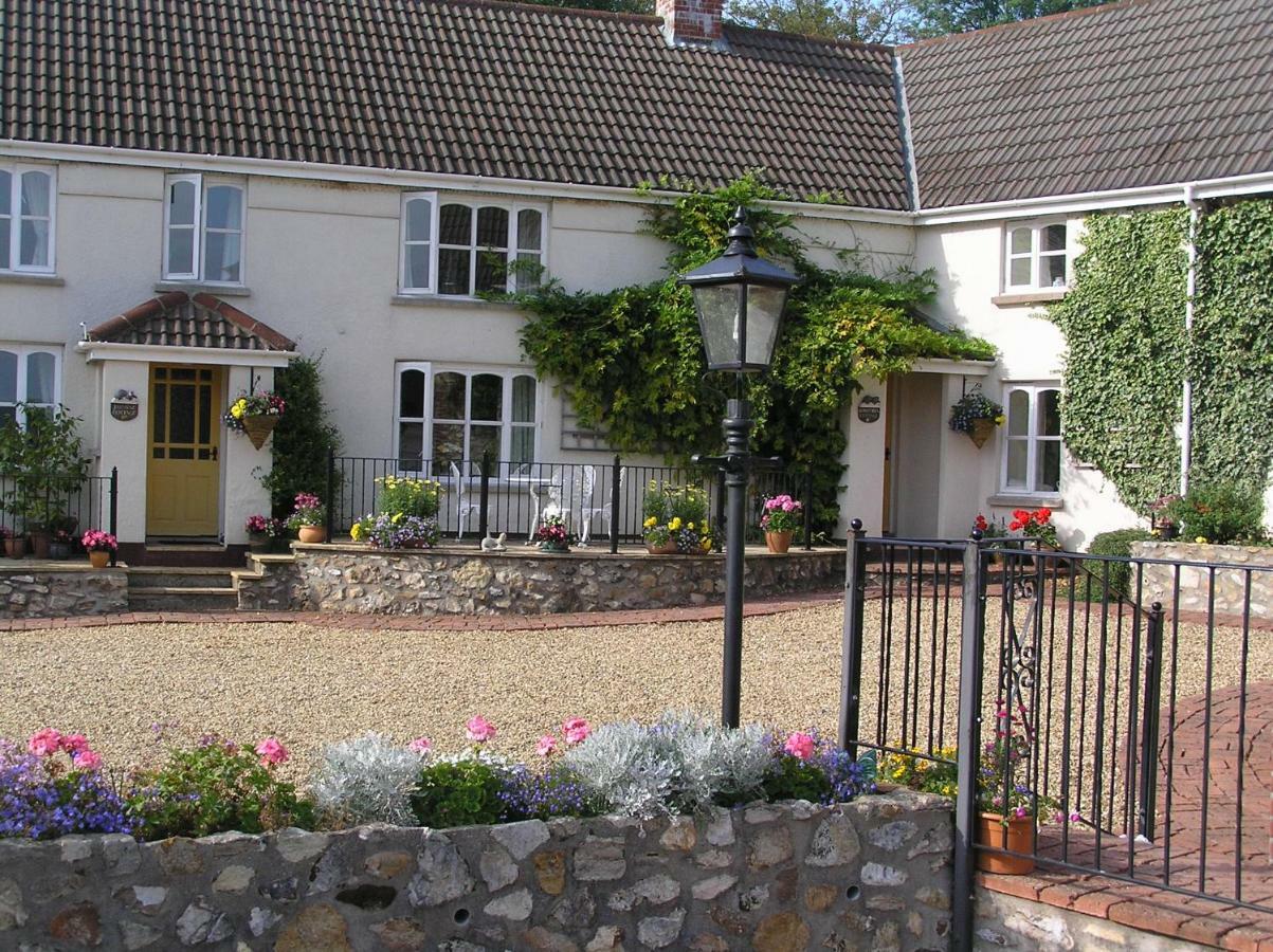 Odle Farm Villa Honiton Bagian luar foto