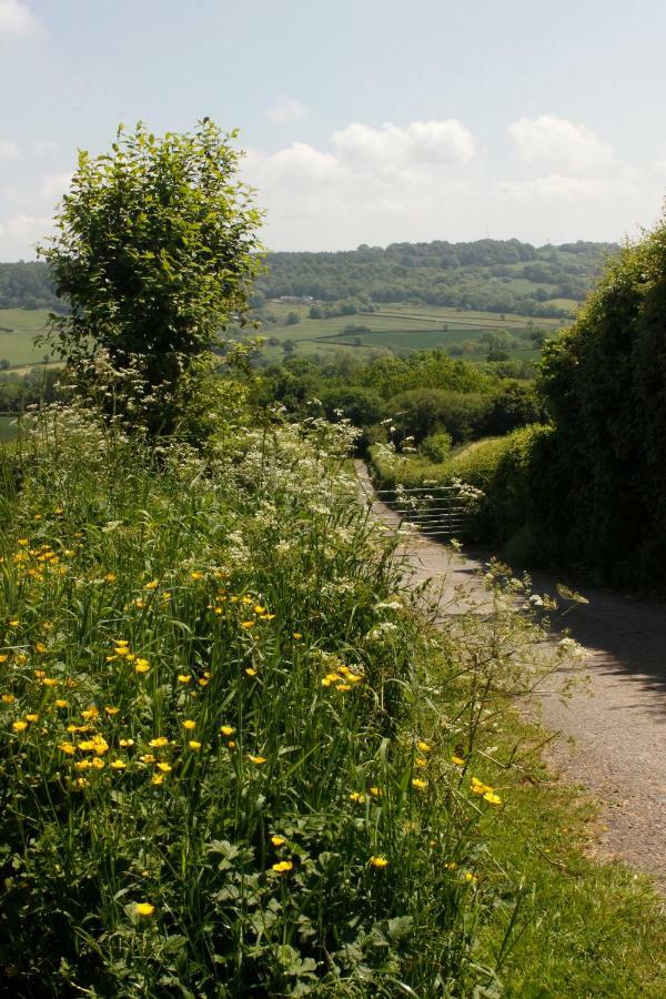 Odle Farm Villa Honiton Bagian luar foto