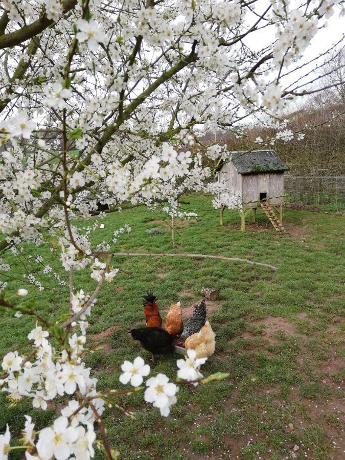 Odle Farm Villa Honiton Bagian luar foto